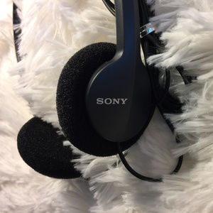 Sony headphones...great sound quality!